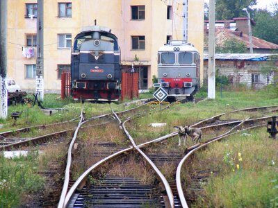 Train locomotive transport