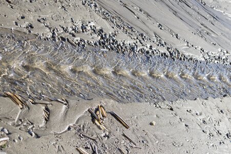 Beach ground landscape