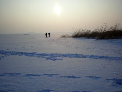 Island of usedom backlighting sun