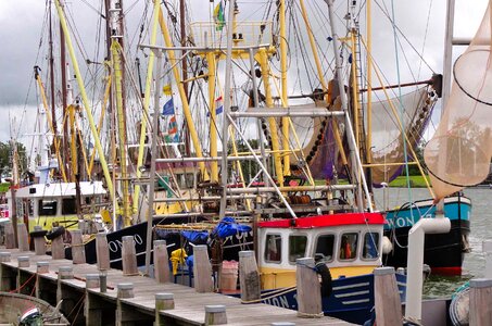 Harbor bay water