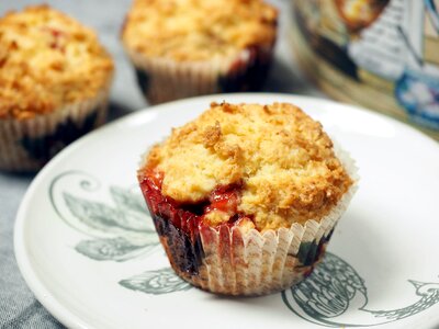 Baking berries biscuit
