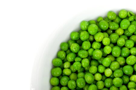 Fresh freshness green