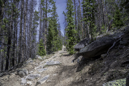 Hiking path up Elkhorn Mountain photo