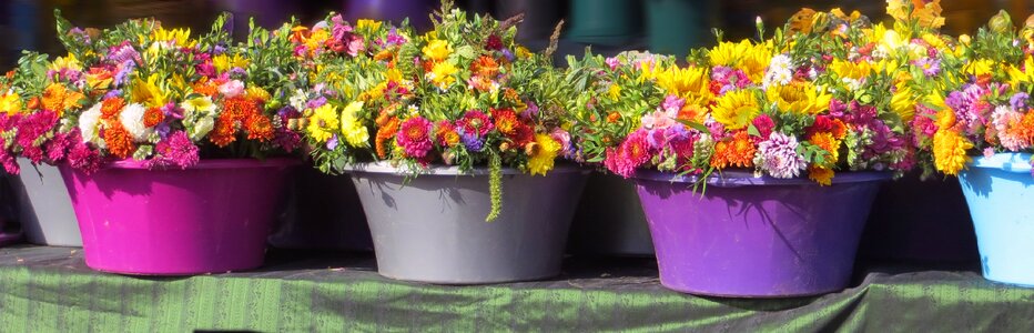 Colorful farbenpracht autumn