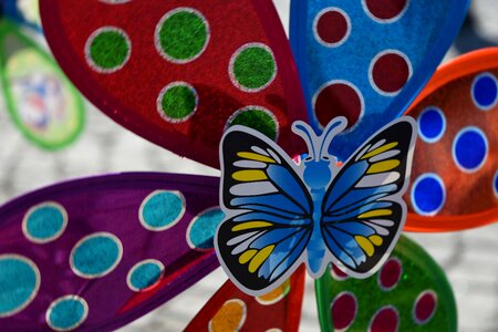 Butterfly toys decoration