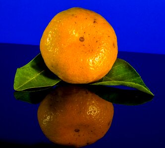 Mandarin fruit citrus fruit