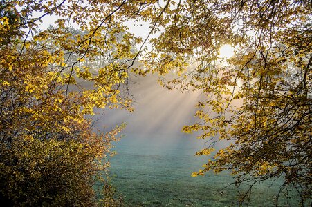 Autumn forest forest fall color photo