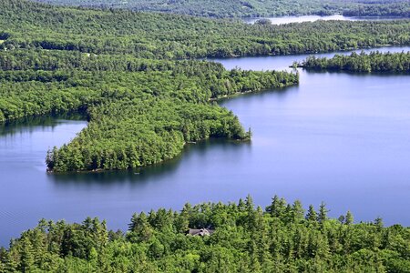 Forest lake landscape photo