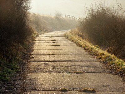 Landscape walk nature