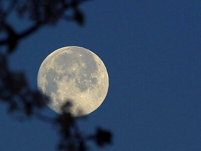 Evening full full moon photo