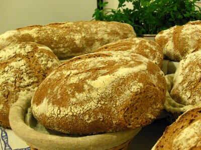 Homemade sourdough baked photo