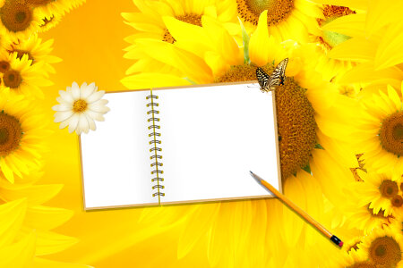 Blank note on sunflowers background photo