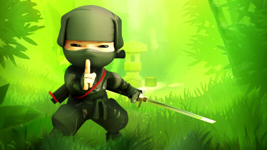 Silent Ninja Stalker photo