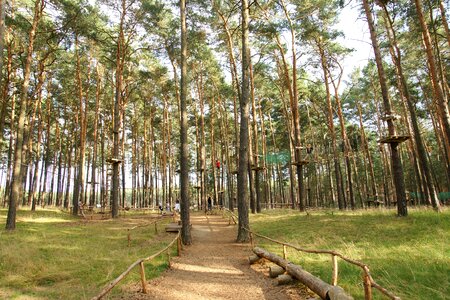 Climbing garden ropes adventure