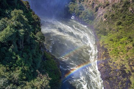 Victoria falls river vegetation photo