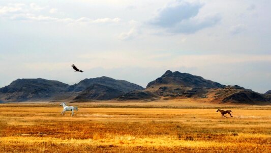 Eagle field farm photo