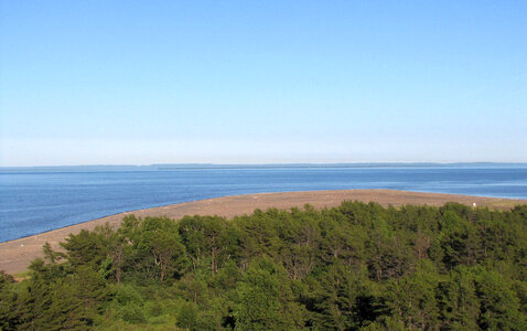 View from lighthouse overlooking part of Seney Refuge