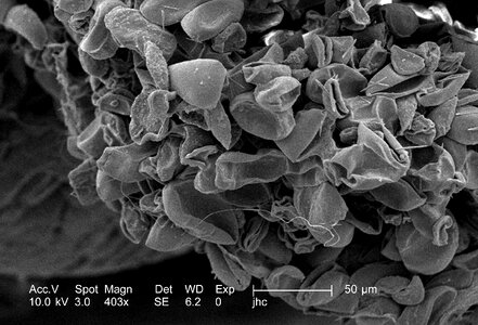 Blossom metallic petal