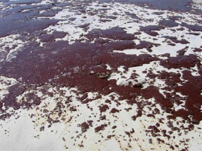 Oil spill 