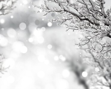 Sparkle beautiful winter photo