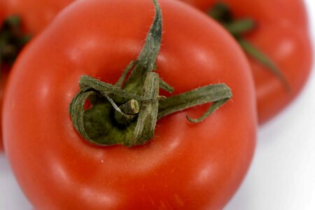 Fresh vegetable tomato
