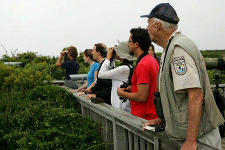 Wildlife viewing-4