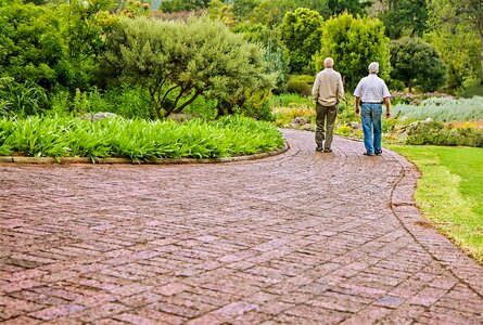 Old people friendship chatting photo