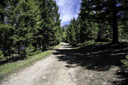 Start of the Mountain trail in Elkhorn, Montana photo