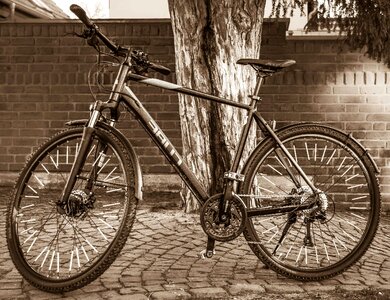 Bicycle biker black and white photo
