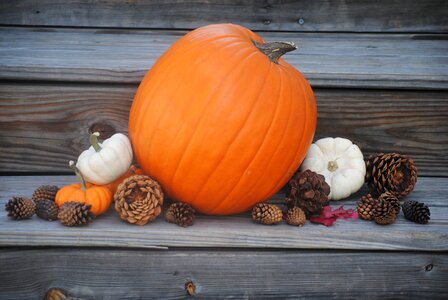 Harvest season celebration