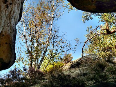 Rock nature background
