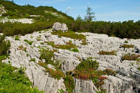 Limestone rocks in alps mountains photo