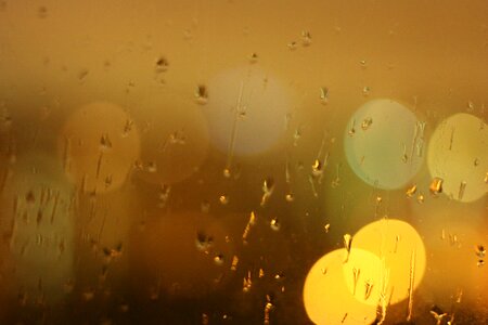 Wet window golden
