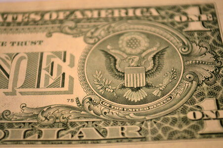 One Dollar Closeup