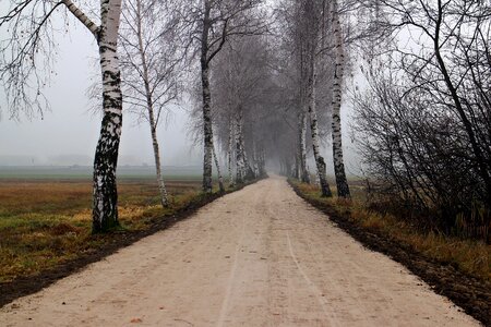 Autumn frost cold photo