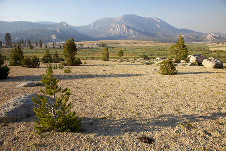 Sierra Nevada high alpine meadow-1 photo