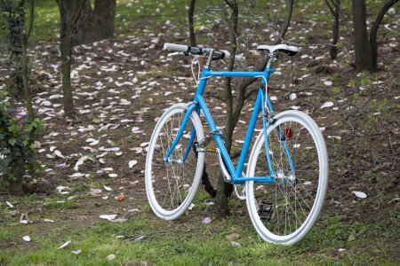 Cycle ride wheel