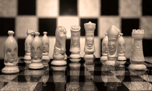 Black white chess game chess pieces photo