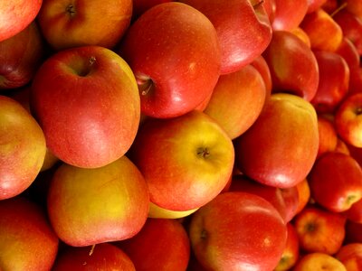 Apple delicious diet