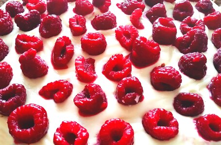 Sweets raspberries fruits photo