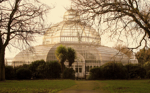 The Palm House In Sefton Park Liverpool, England photo