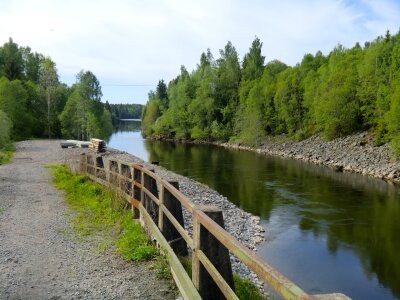 a river downstream into the forest photo