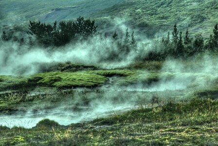 Misty Landscape photo