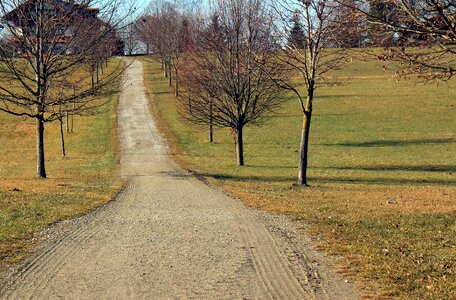 Dirt track alpine way meadow photo