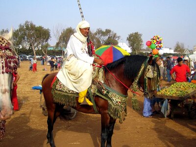 Cavalry ceremony costume photo