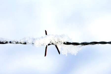 Barbed Wire iron metal photo