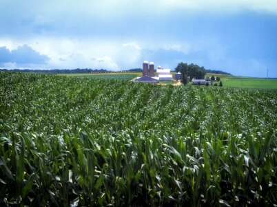 Amish farm rural country photo