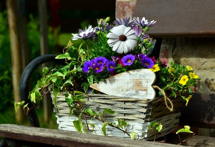 Garden bank basket