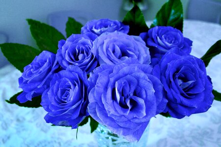 Bouquet blue romance