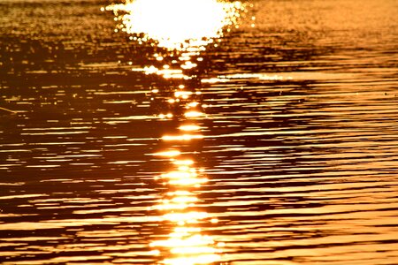 Ocean reflection sunrays photo